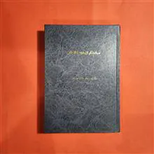سیاستگران