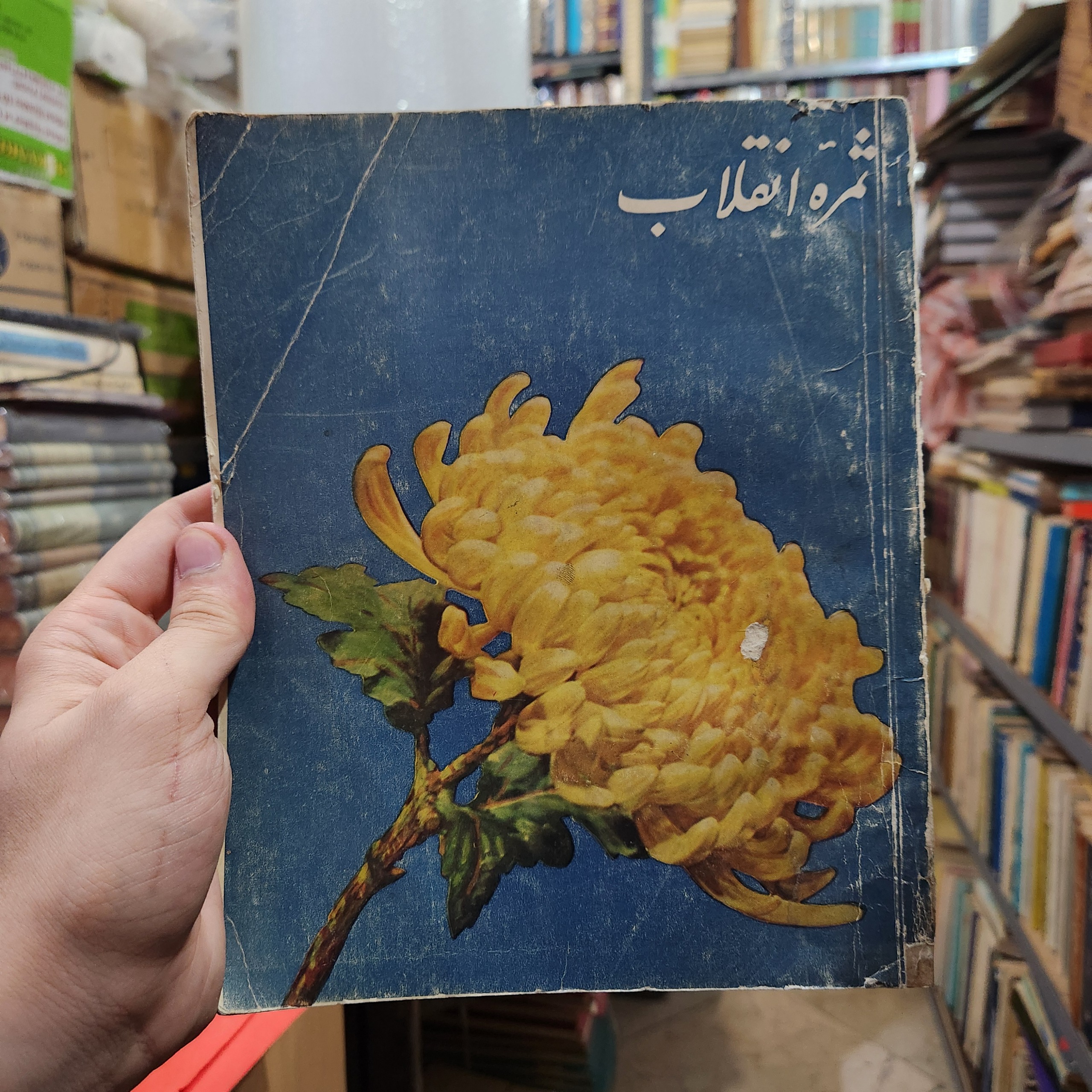 کتاب ثمره انقلاب