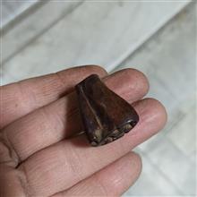 مهر