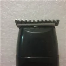 ریش