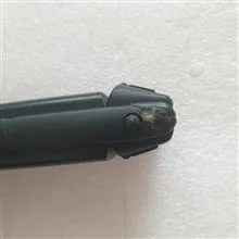 ریش