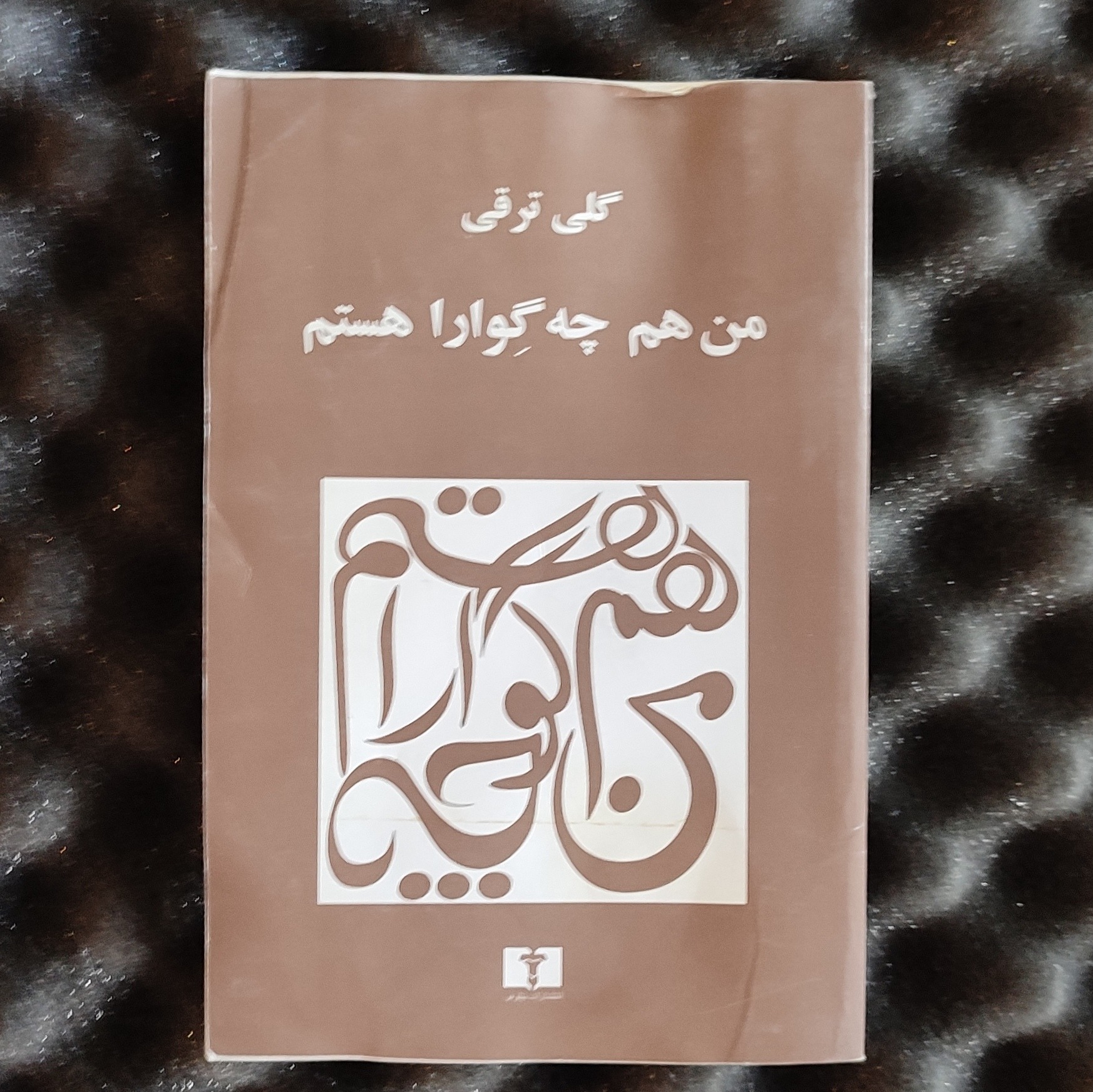 من چگوارا هستم. گلی ترقی