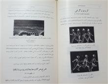 فیزیولوژی