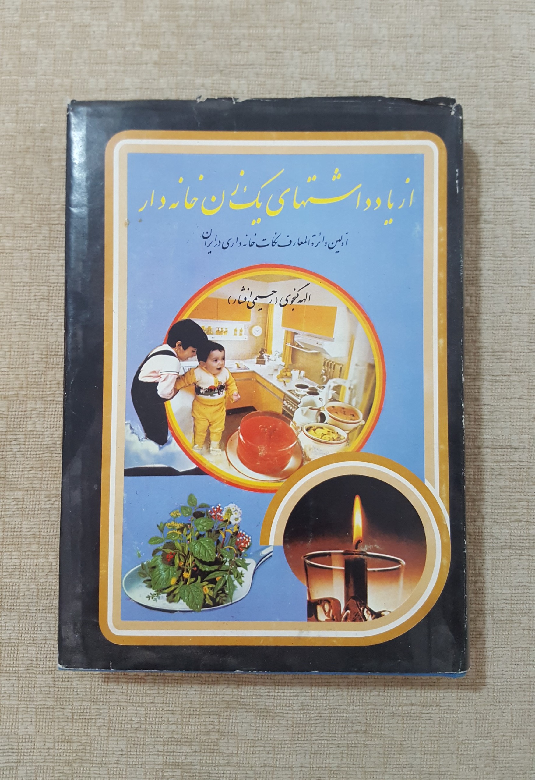 از یادداشتهای یک زن خانه دار ( الهه گنجوی )