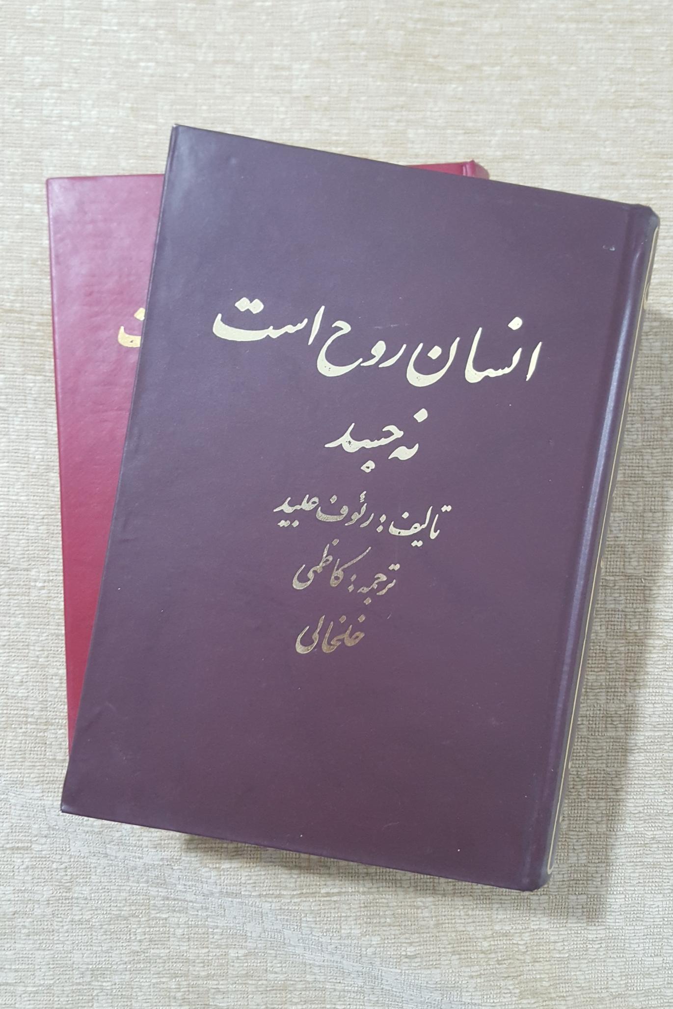 انسان روح است نه جسد ( 2 جلدی )
