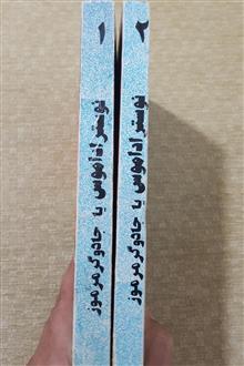 نوستراداموس