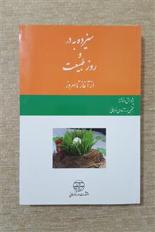 سیزده