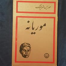 موریانه
