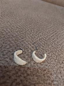 گوشواره