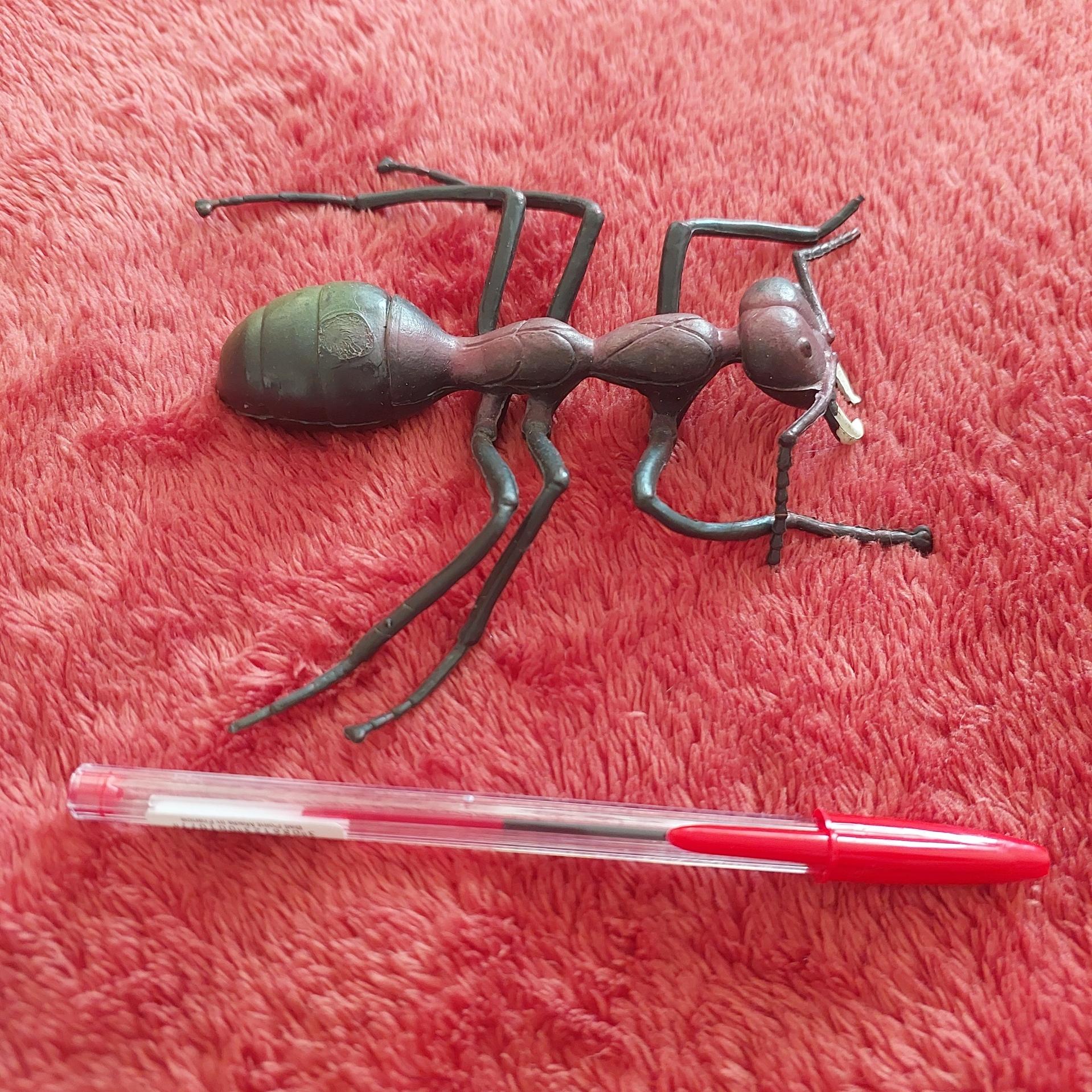 ماکت مورچه خارجی