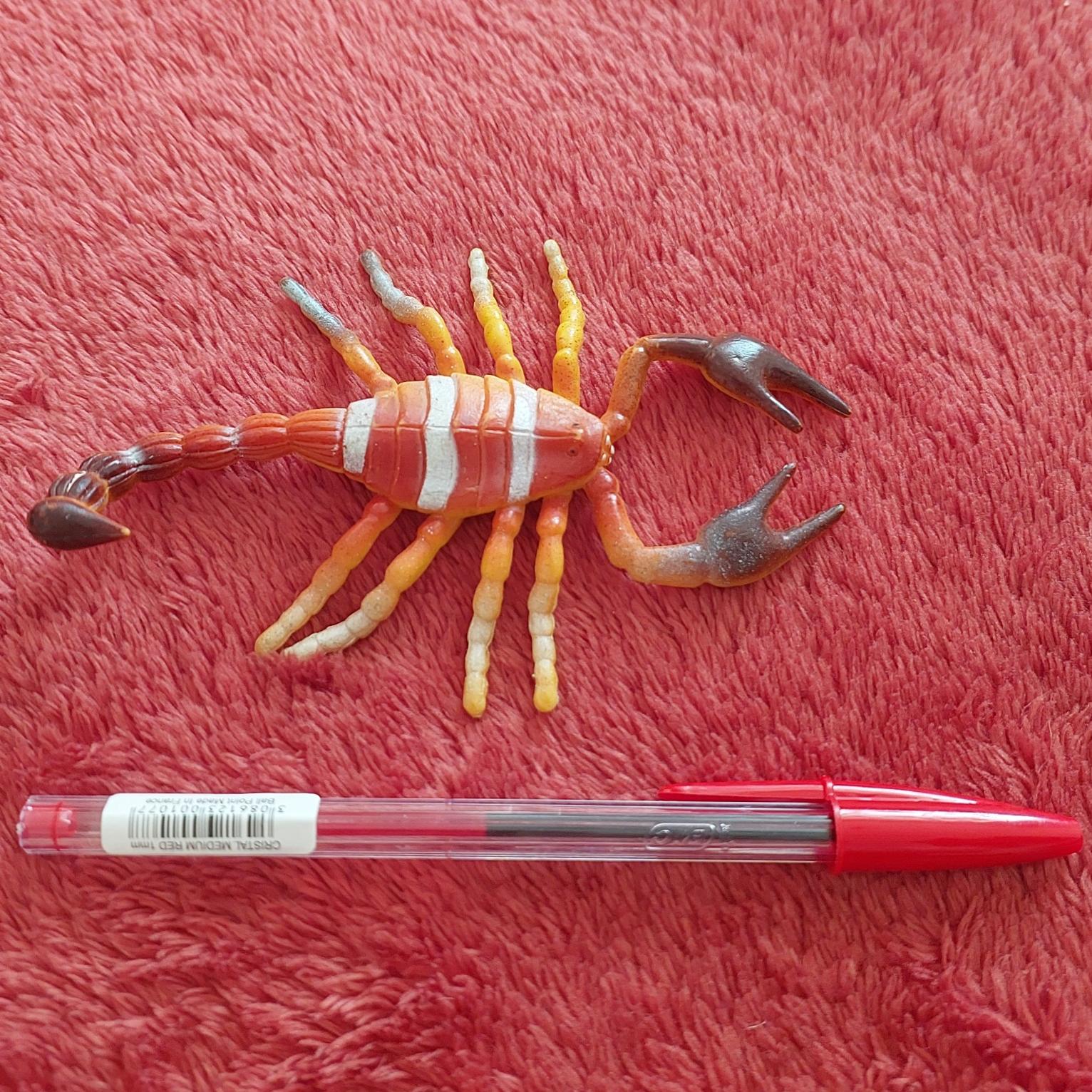 ماکت عقرب خارجی