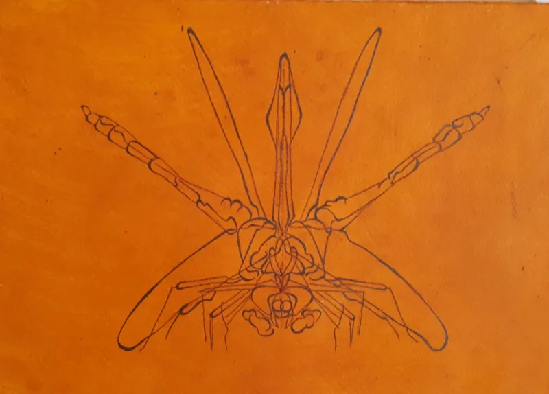 طراحی انتزاعی جذاب