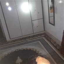 نورافکن