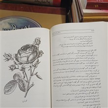 پزشکی