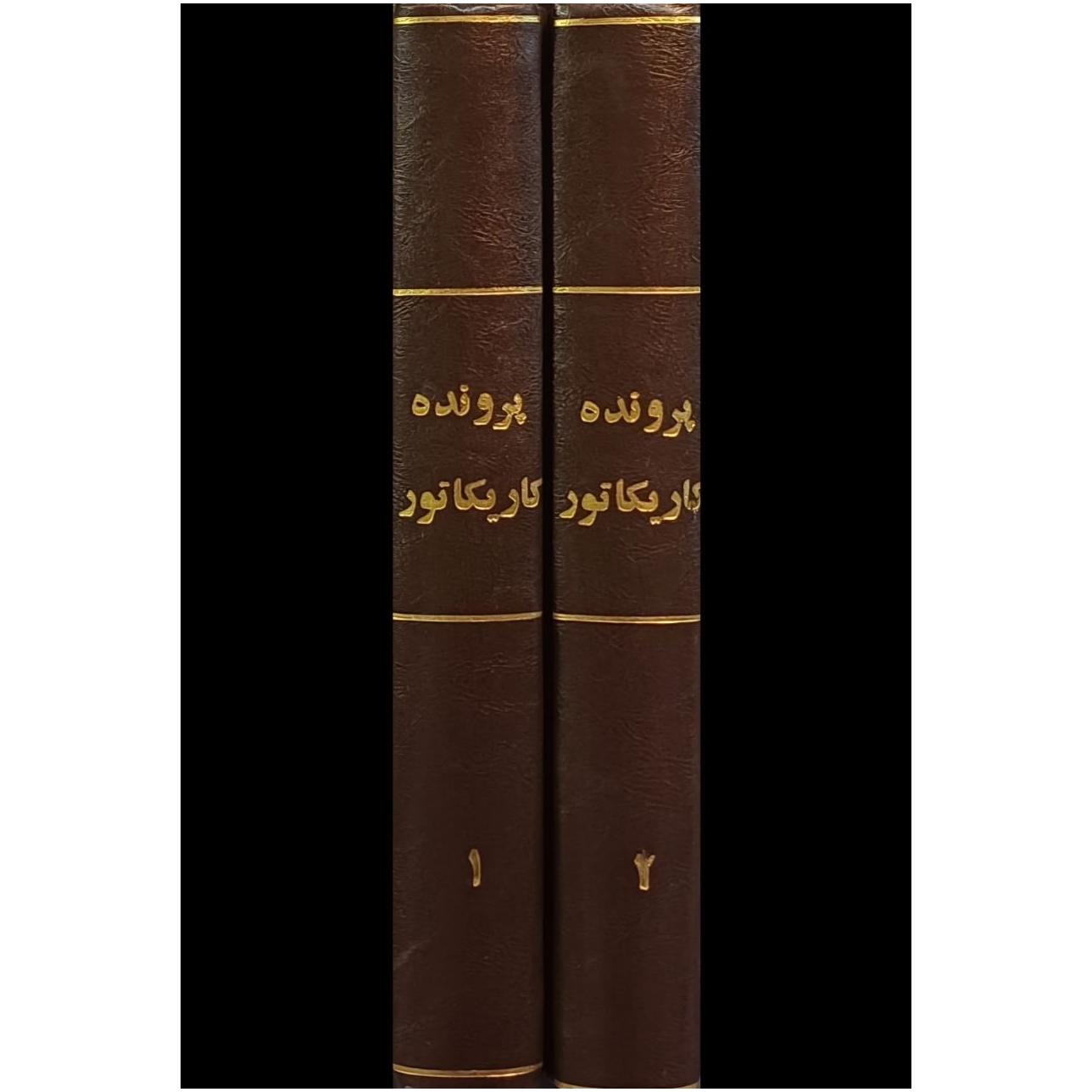 پرونده کاریکاتور ، محمد رفیع ضیایی