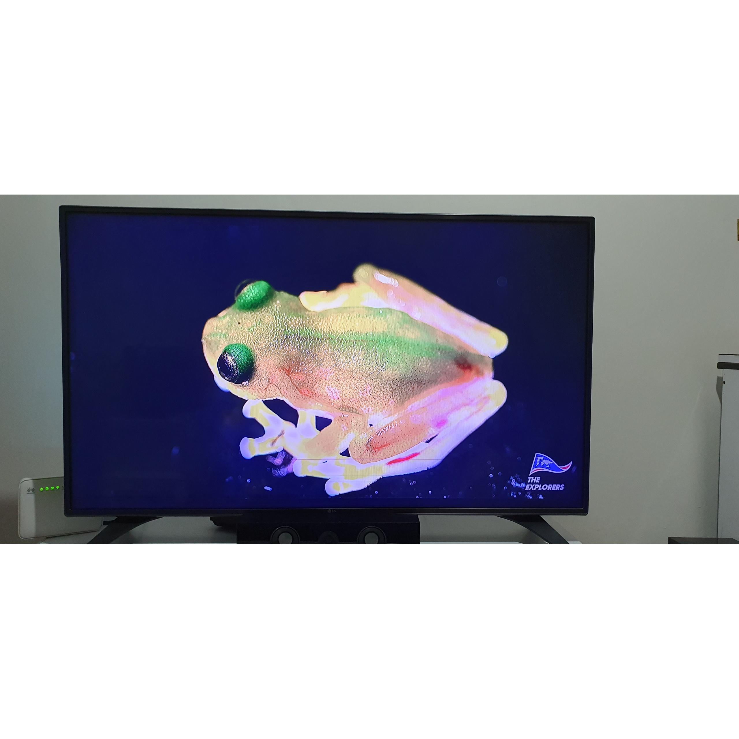 تلویزیون الجی هوشمند 49 اینچ Korea