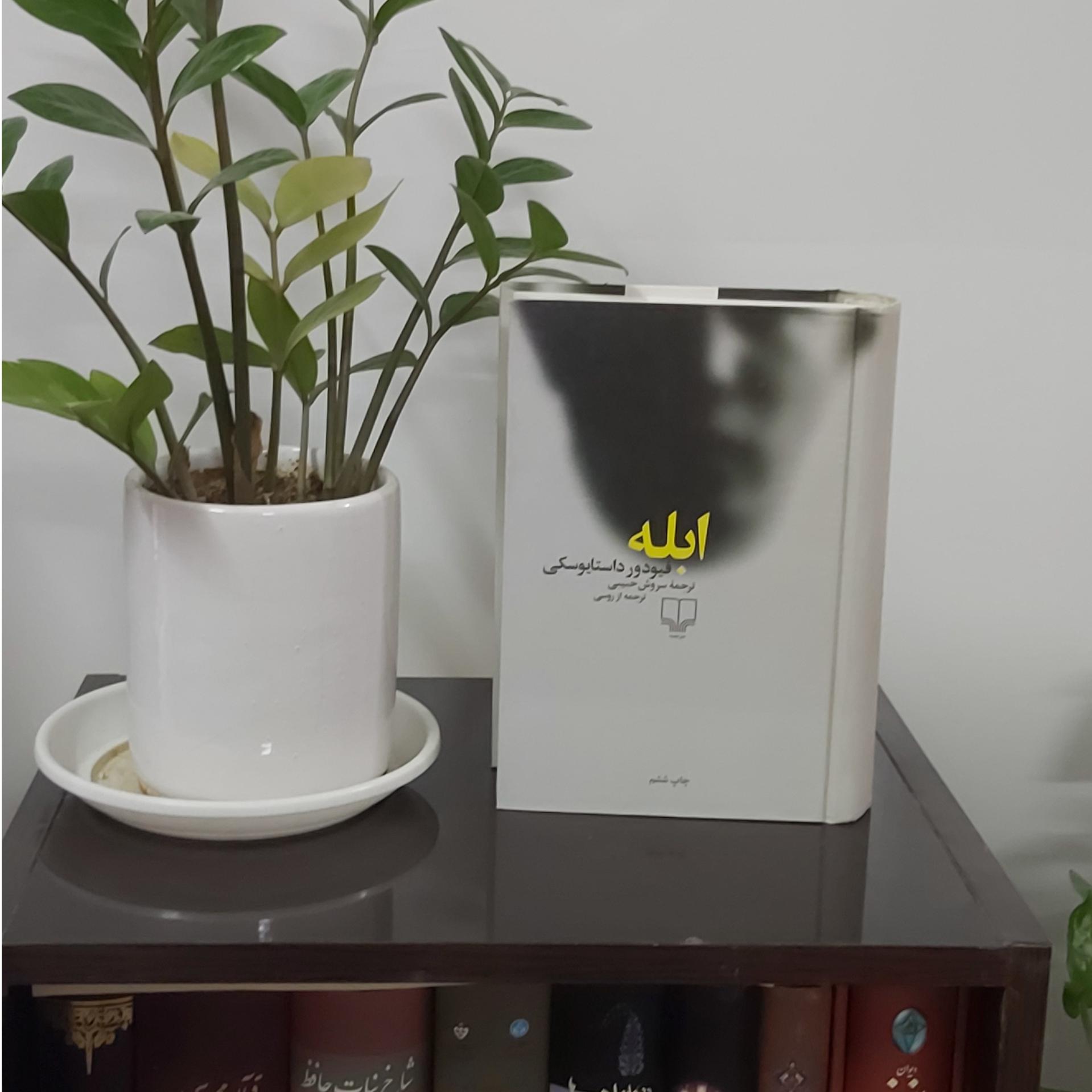 کتاب رمان ابله