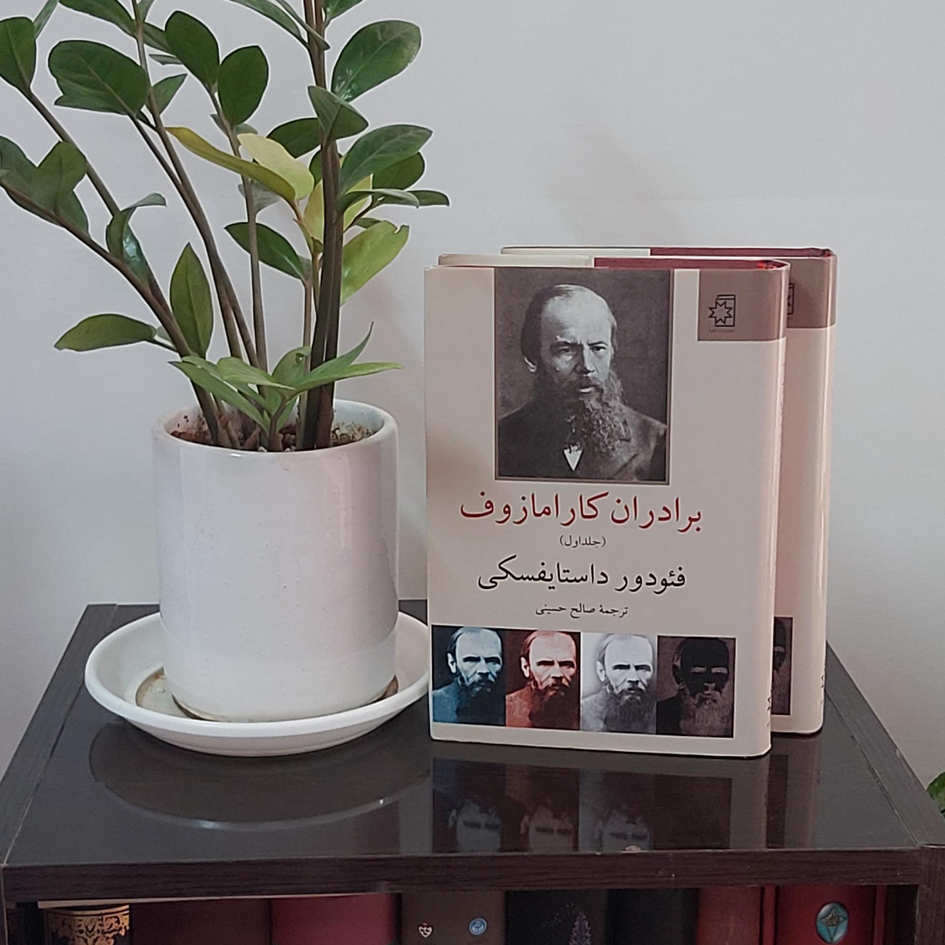 برادران کارامازوف (دو جلدی)