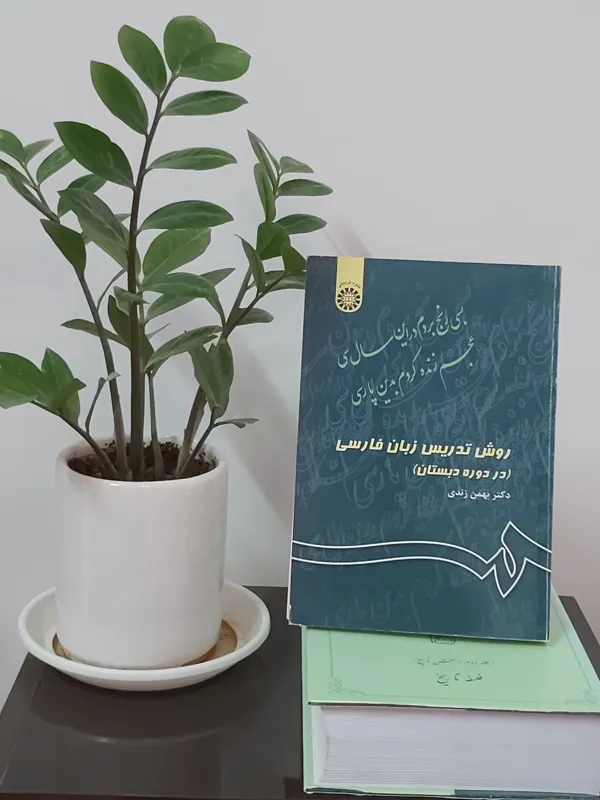 روش تدریس زبان فارسی در دوره ابتدایی