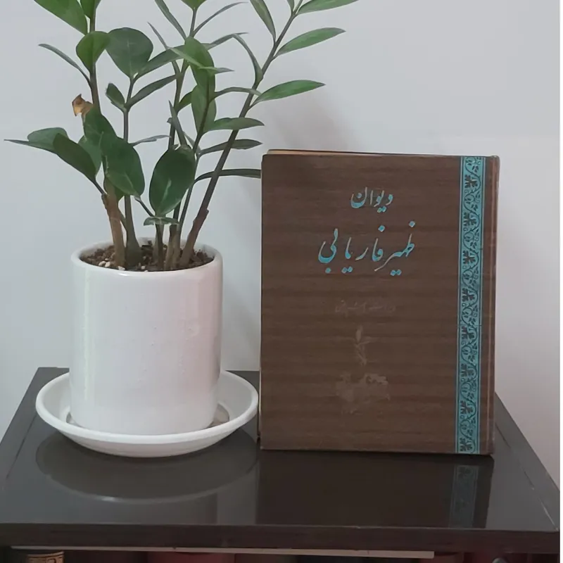 دیوان ظهیر فاریابی ، ویراسته هاشم رضی (نایاب)