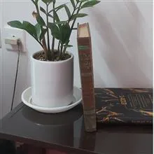 دیوان