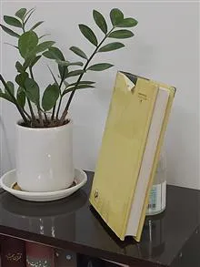 موبی