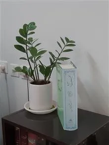 فلسفه
