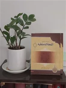 ترجمه