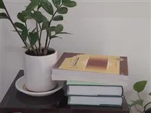 ترجمه