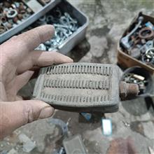 پاگیری