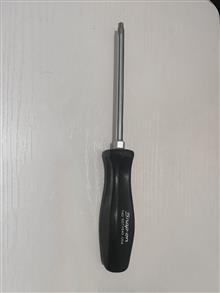 پیچگوشتی