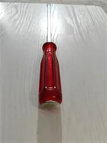 پیچگوشتی