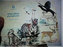یک