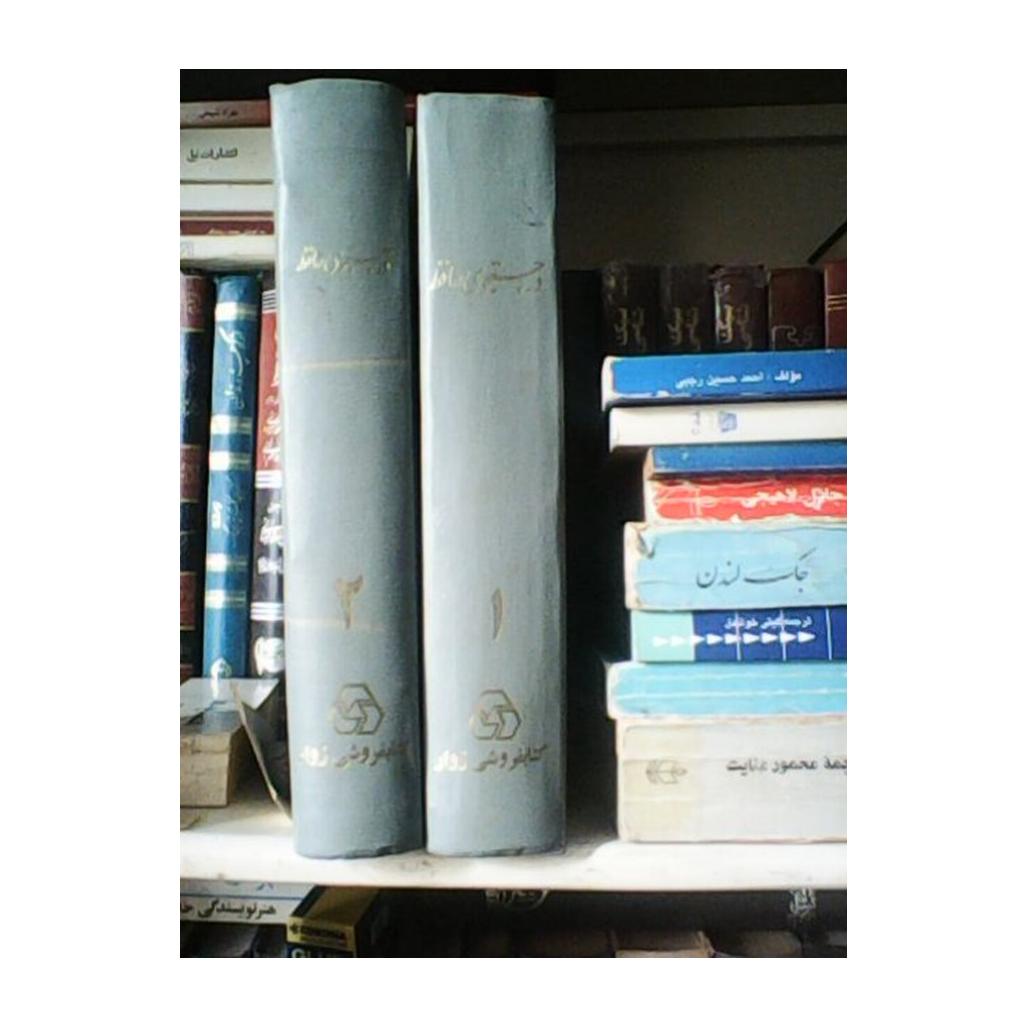 کتاب در جستجوی حافظ