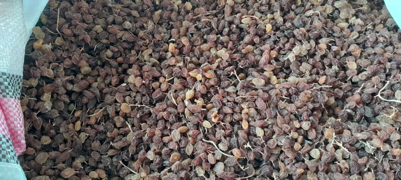 کشمش آفتابی اعلا