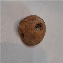 فسیل