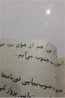 ماجرای