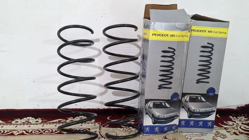 فن. لول پژو 405