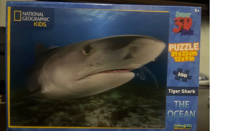 پازل سه بعدی نشنال جوگرافی