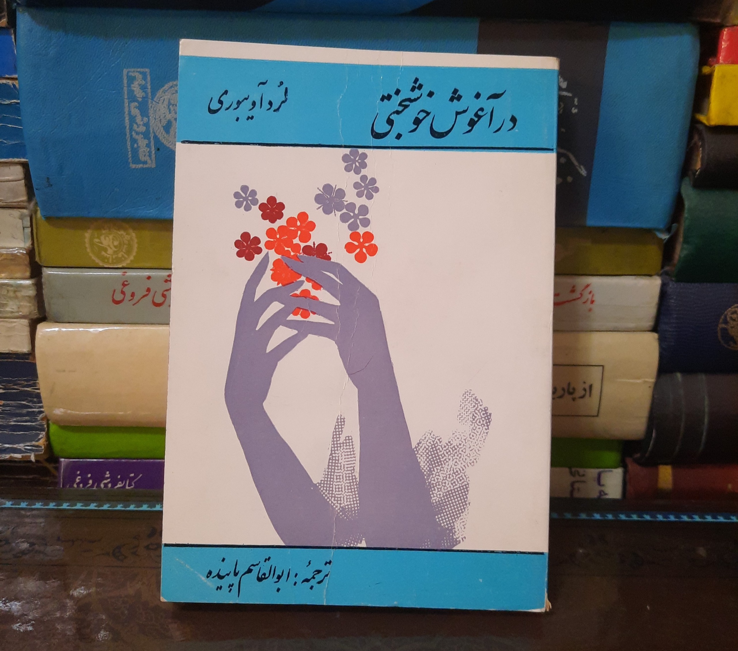 در آغوش خوشبختی