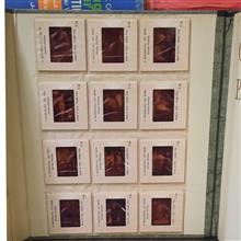 GERMAN