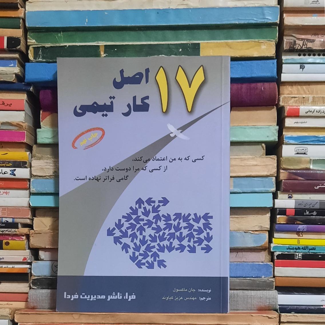 17 اصل کار تیمی