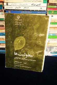 معلولیت