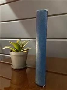 شاهزاده
