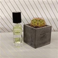 عطر