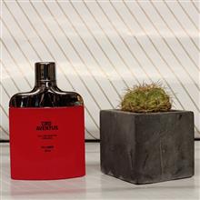عطر
