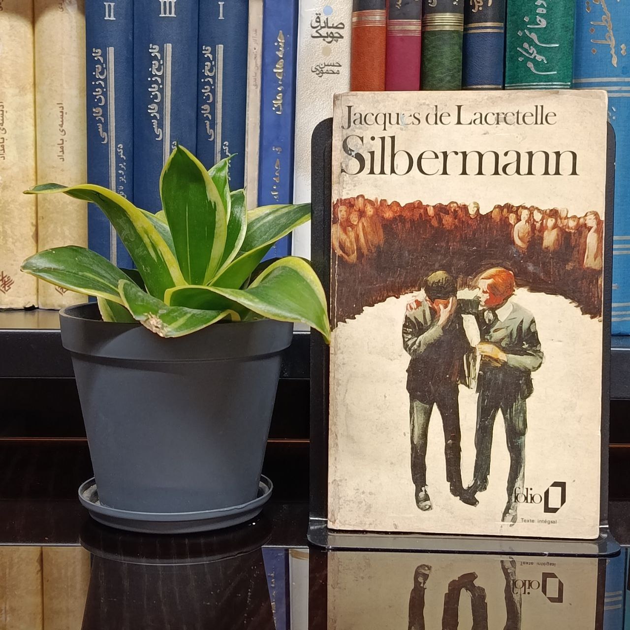 سیلبرمن - The Silbermann زبان اصلی (فرانسوی)