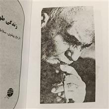 زندگی