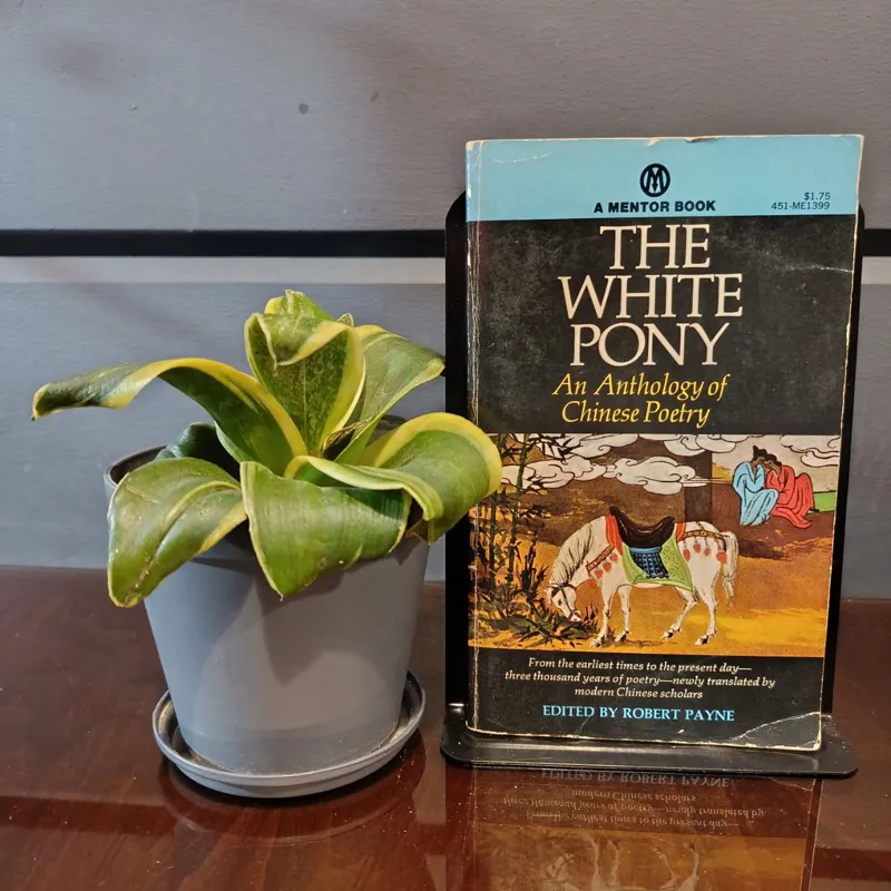 اسبچه ی سفید؛ گلچین اشعار چینی (انگلیسی)