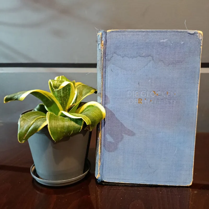 ناقوس های وطن ( زبان اصلی (آلمانی)